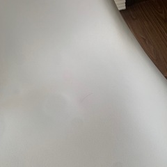 シェルチェア　リプロダクト　イームズ
の画像