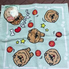 未使用　タオルの画像