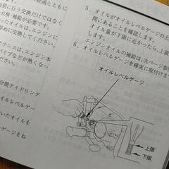 HONDAモンキー50cc　7月6日は古河・境・板東市でのお取引も可能です。の画像