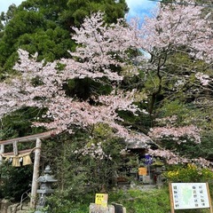 🌿社会人ゆるっと歴史文化サークル🌿 ～古き良きものを楽しみ…