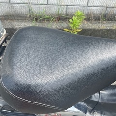 【8/18まで】リトルカブの画像