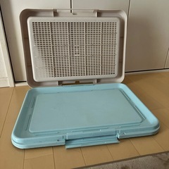 ワンチャン　トイレの画像