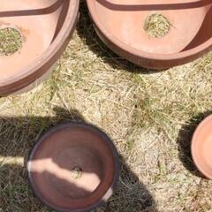 植木鉢/陶器/丸形/1個120円/基本、引き取り限定でお願いします！の画像