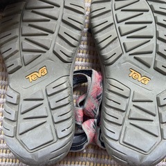   Teva スポサン
の画像