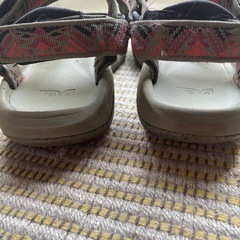   Teva スポサン
の画像