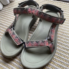   Teva スポサン
の画像