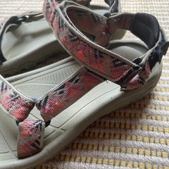   Teva スポサン
の画像