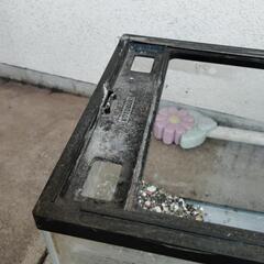 水槽60センチ「値下げしました」の画像