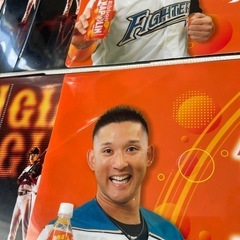 読売ジャイアンツ ジャイアンツ・プライド 2015 クリアファイル 46枚 ポッカサッポロ リボン・ナポリン クリアファイル 2枚 非売品 の画像