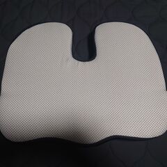 Everlasting Comfort 医師推奨 低反発クッションの画像