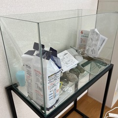 60cm水槽セット✨無料でお譲りします！