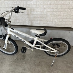 ルイガノ　16インチ