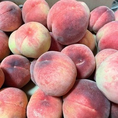 山梨県笛吹市産　桃　5kg ご家庭用の画像