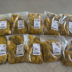 花材・ノルディックモス 50g 10個 イエロー