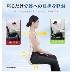 姿勢矯正 椅子 クッション 洗える　坐骨神経痛 痔 ヘルニア 猫背 腰痛改善の画像