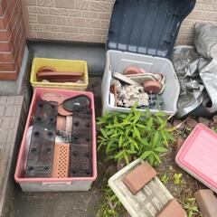 0円から50円/植木鉢/プラスチック/受け皿/その他/基本、引き取り限定でお願いします！の画像