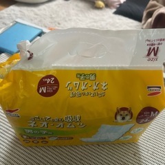犬用オムツの画像
