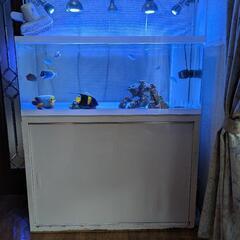 1200オーバーフロー水槽セット