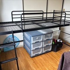 パイプベットの画像