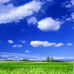 🌱ライン🍊カカオ🌻ジモティーメールでお友達になりませんか🙋