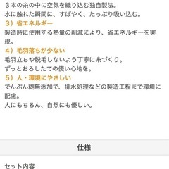 早い者勝ち‼️ BEAMS DESIGN タオルの画像