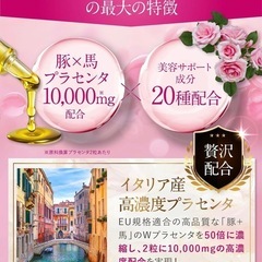 50倍濃縮プラセンタ10,000mgピュアビタプラセンタ 3大美容成分の画像