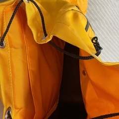 【お取引完了：中古】 ランリック　LLサイズの画像