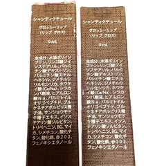 未使用 Shanti Couture リップグロス 2本セット ピンク系 日本製の画像