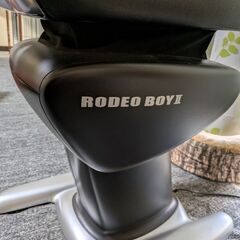 決まりました!RODEOBOY2の画像
