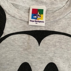 ディズニーランド　110の画像