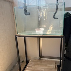 水槽セット【海水魚】の画像