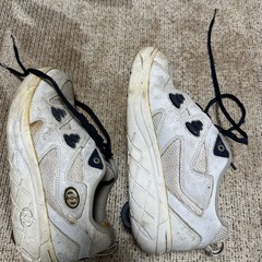 ローラースニーカーの画像