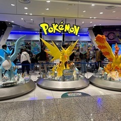 ポケモンカードしませんか？