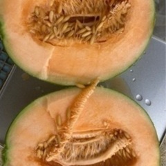 🍈B級メロン🍈令和7年7月7日