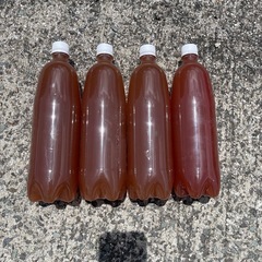 PSB 1ℓ4本の画像