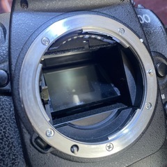 Nikon D100 レンズ付きの画像