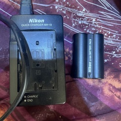 Nikon D100 レンズ付きの画像