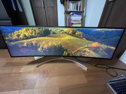 LG 49インチ ウルトラワイドモニター 湾曲ディスプレイ 49WL95C-WE