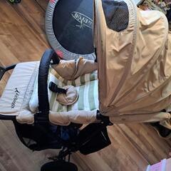 本日最終　エアバギー　三輪ベビーカーの画像