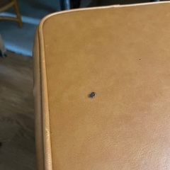 折りたたみ椅子の画像