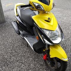 千葉県のシグナスx ヤマハ(バイク)の中古が安い！激安で譲ります