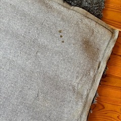 【取引先決定】ニトリ製 シャギーラグ（140×200cm）の画像