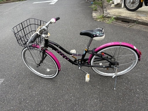 ブリヂストン ワイルドベリー 22インチ
