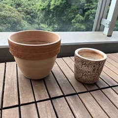 鉢2個セットの画像