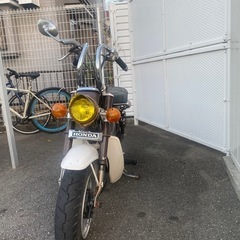 【売却済み】シャリー  中古の画像