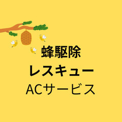 【巣が大きくなるその前に！早く動けば安く済む！】蜂駆除  ...