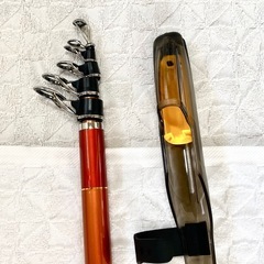 ダイワ キャスティズム T30-385V振出の画像