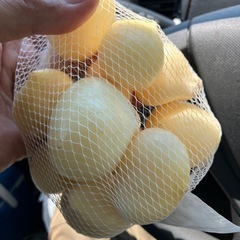 生産者　直売　国産ニンニク　数量限定　うまい！