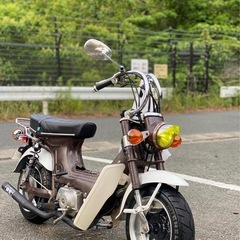 【売却済み】シャリー  中古の画像