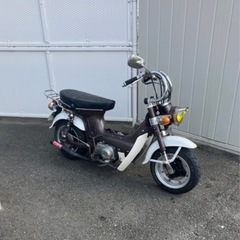 【売却済み】シャリー  中古の画像